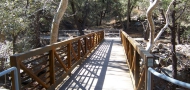 Madera Canyon Pedestrian Bridge